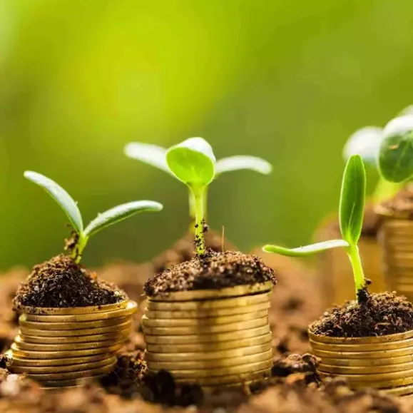 REPORT - Como facilitar o acesso ao crédito para o produtor rural?